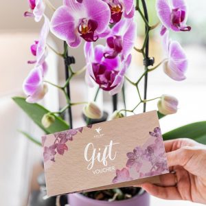 Gift Voucher