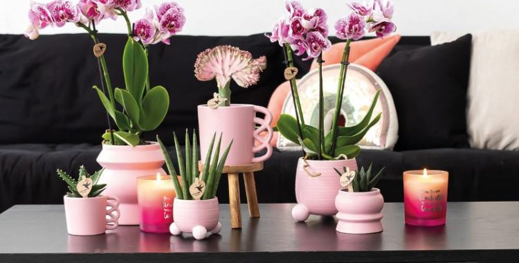 Interieurtrends: Farbenfrohe Einrichtung mit Colourful Optimism