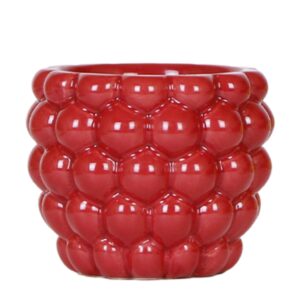 Maceta Berry | roja