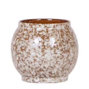 Safari pot | bruin