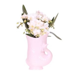 Orquídea blanca 'Nazare' en maceta Fish | rosa