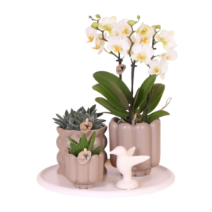 Set de regalo Slow Living