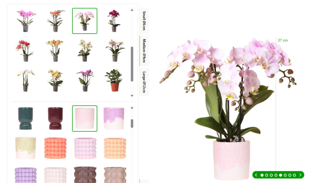 Mix & Match: Deine Orchidee mit Ziertopf