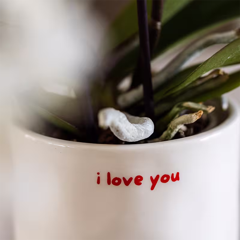 Liefde