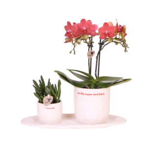 Geschenkset „i love you“