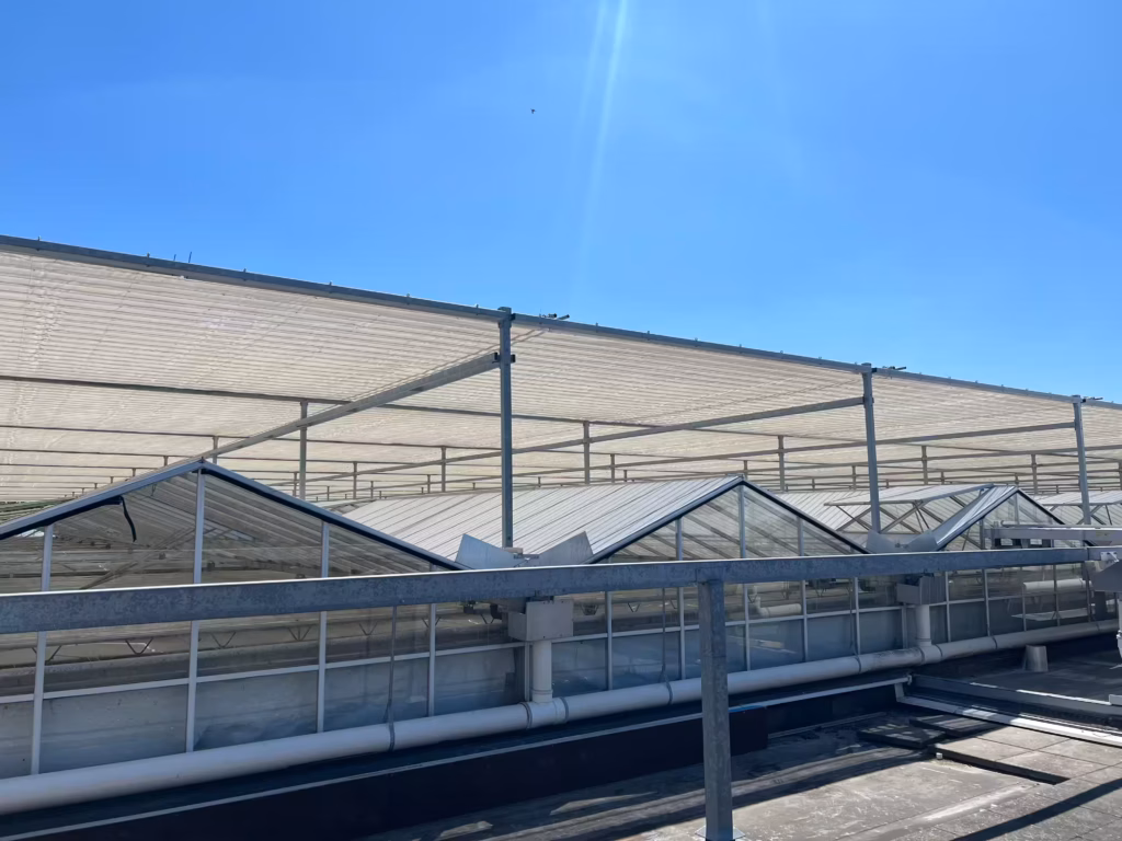 Wie unser Außenschirm zu einem energieeffizienten Gewächshaus beiträgt