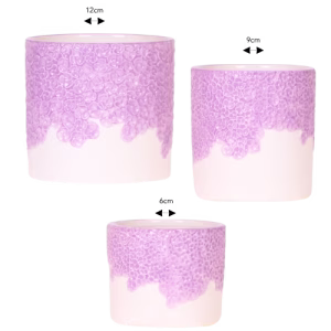 Pack Bloom | morado