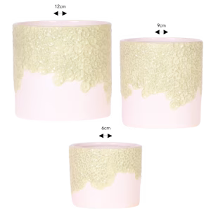 Pack combinado Bloom | verde