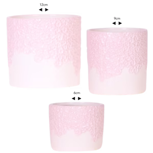 Pack Bloom | rosa