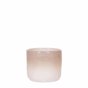 Gradience sierpot | bruin