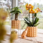 Everspring product photo