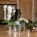 Everspring product photo