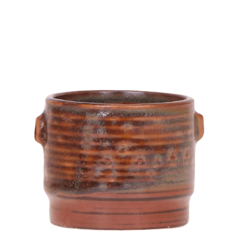 Everspring product photo