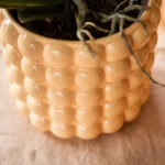 Everspring product photo