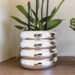 Everspring product photo