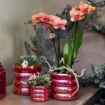 Everspring product photo