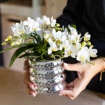 Everspring product photo