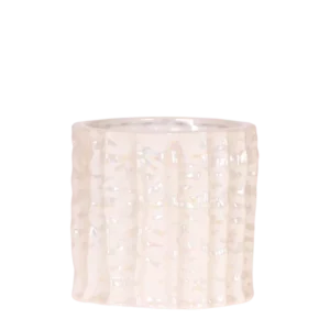 Oyster sierpot