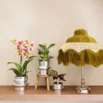 Everspring product photo
