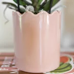 Everspring product photo