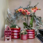 Everspring product photo