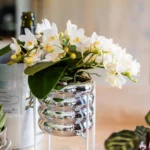 Everspring product photo