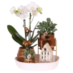 kolibri-adventskalender-brons-09